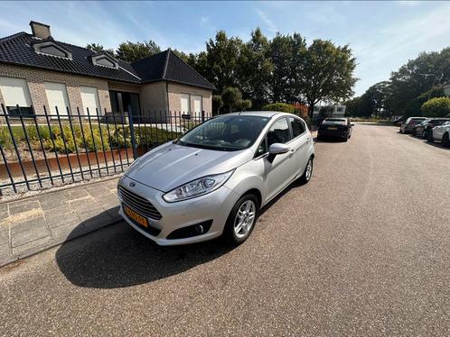 Ford Fiesta 1.0 Titanium 74KW100PK 5D 2013 Grijs ,nwe riem