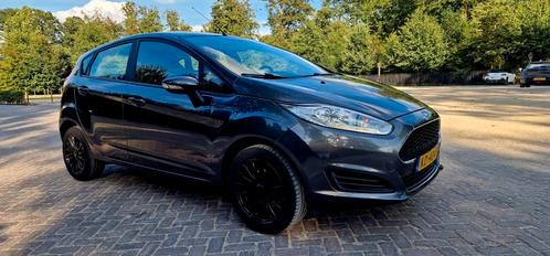 Ford Fista 1.0 48KW65PK 5D 2016 Grijs