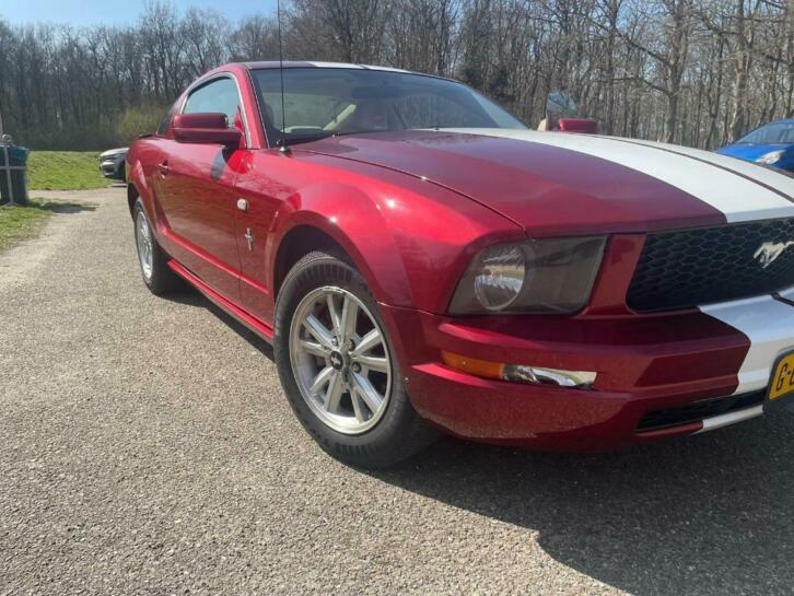 Ford Mustang 2007 Rood