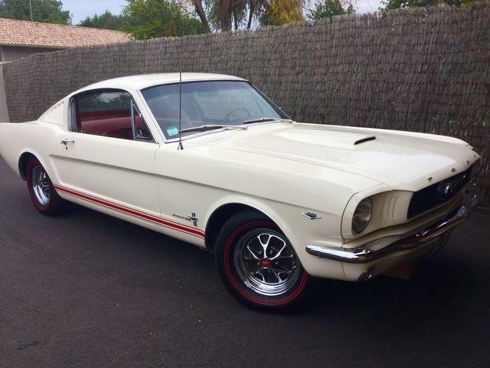 Ford Mustang Fastback - V8 motor - 1966