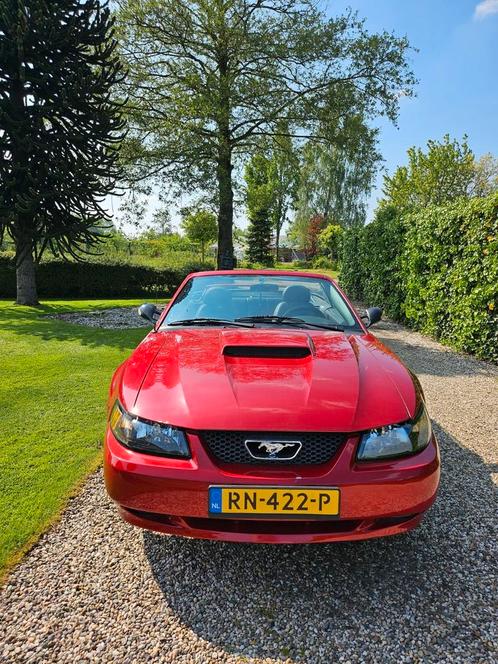 Ford Mustang GT Convertible 2003 Rood