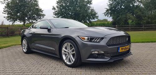 Ford Mustang Mustang Fastback 2.3 EcoBoost Limited Edition