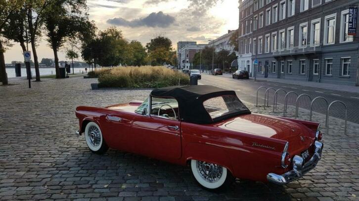 Ford Thunderbird 1955 Rood