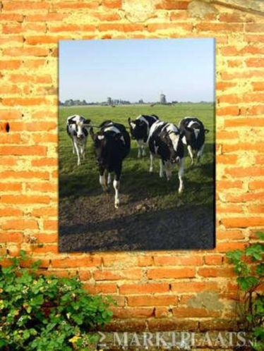 Foto spandoek, tuincanvas, buitenschilderij al voor 9,50