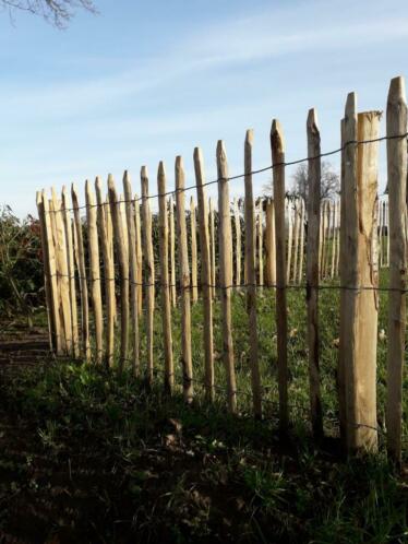 Frans hekwerk schapenhek kastanjehout poorten kastanje palen