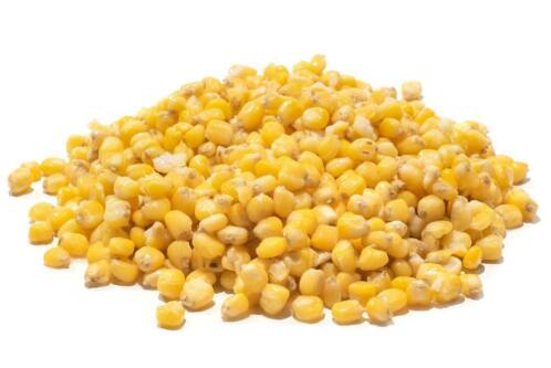 Gele Mais - Partikels kant en klaar