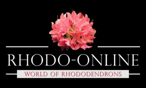 Gemakkelijk en snel rhododendrons en hortensia039s bestellen
