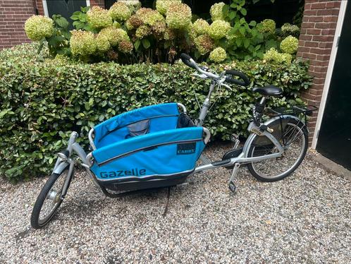 Gezelle Cabby bakfiets