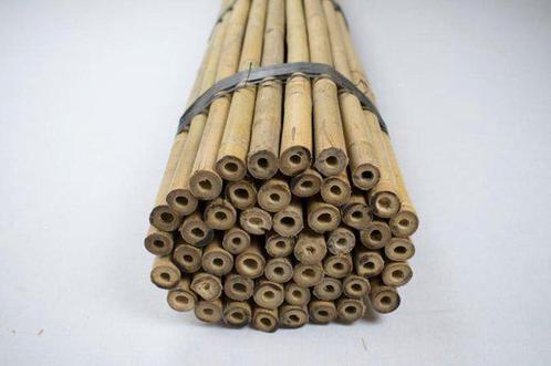 Gezocht gratis bamboe stokken als planten steun