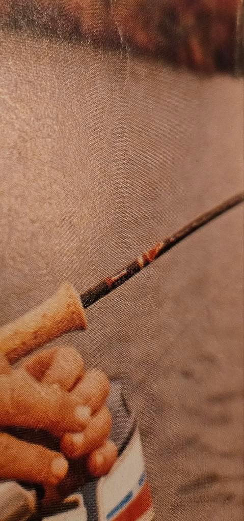 GEZOCHT  Snoekbaars Pen Hengel Old School hengel