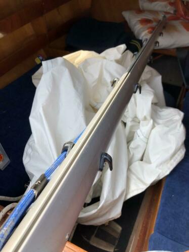 Giek voor kolibrie 560