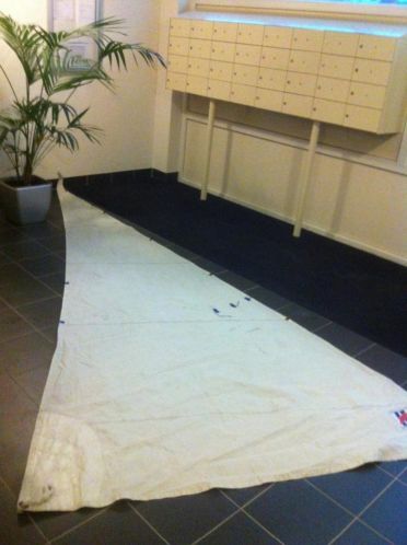 Goed verkerende staat fok voor een valk of polyvalk