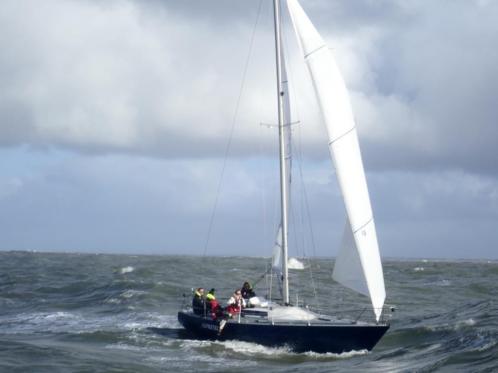 Golden Shamrock, met werk, winnaar IJskegel 2017 en 2018