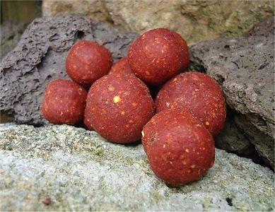 Gooische Karpers - Boilies  Freezerbaits