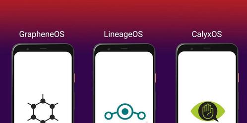 GrapheneOS  LineageOS  CalyxOS installatie service