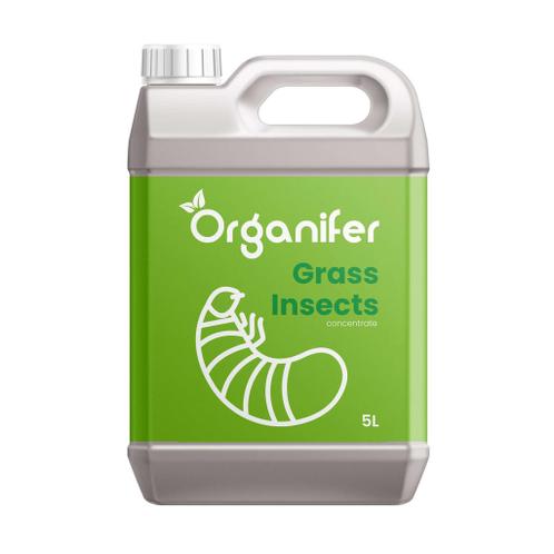 Grass Insects Concentraat - 5 l voor 1250 m2
