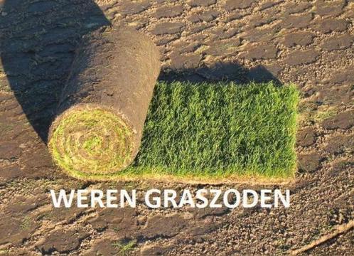 Graszoden, grasmatten, zoden, gras, bezorgen, leveren,