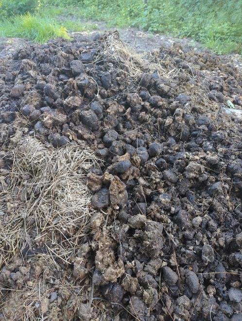 Gratis paardenmest compost zonder vlas of stro
