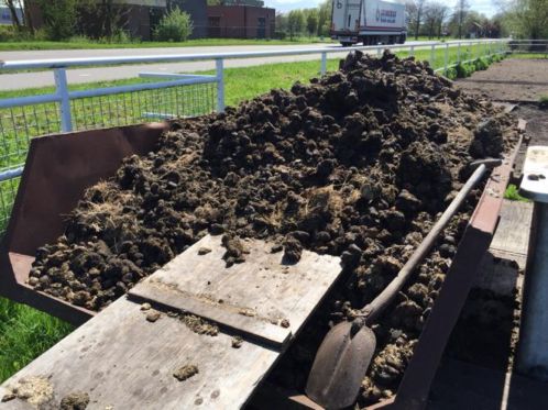 GRATIS paardenmest, geen stro.