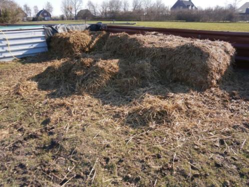 GRATIS paardenmest ophalen