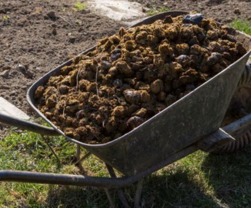 Gratis paardenmest ophalen in Kaatsheuvel