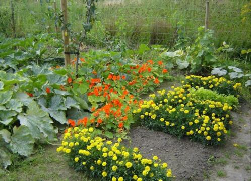 Gratis paardenmest voor sier en moestuin