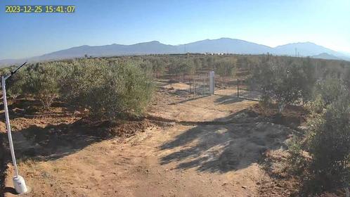 Grond  olijf landbouwgrond tafersit morocco