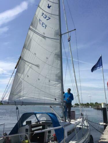 Grootzeil Victoire 933 te koop