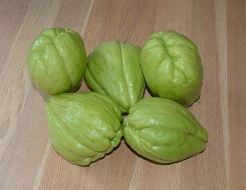 Grote biologische chayote  labusiam  chow chow