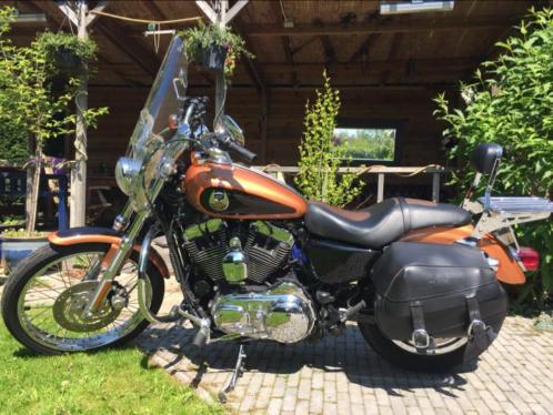 Harley 1200 sportster 105 anniversary edition superstaat