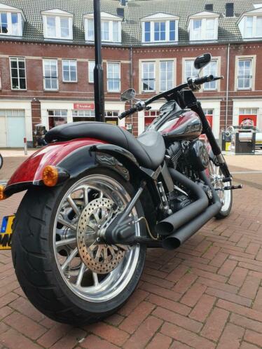 Harley Davidson 1450 softail , special