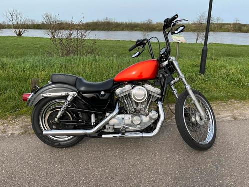 Harley Davidson 883 sportster