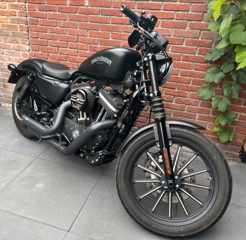 Harley Davidson 883 XL black denim