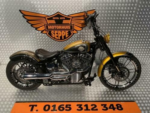 HARLEY-DAVIDSON ANONYMOUS SOFTAIL. (bj 2015)