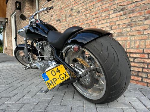 Harley Davidson Big Dog Pitbull 117CI Custom SampS