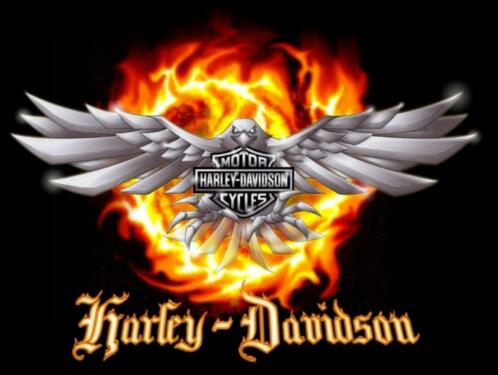 Harley Davidson -BUELL--DRIVER