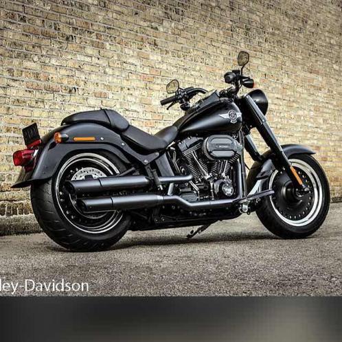 Harley Davidson Fat Boy Special, mat zwart.