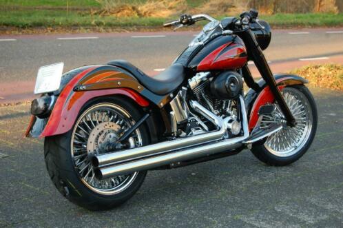 Harley Davidson Fatboy Special Paint