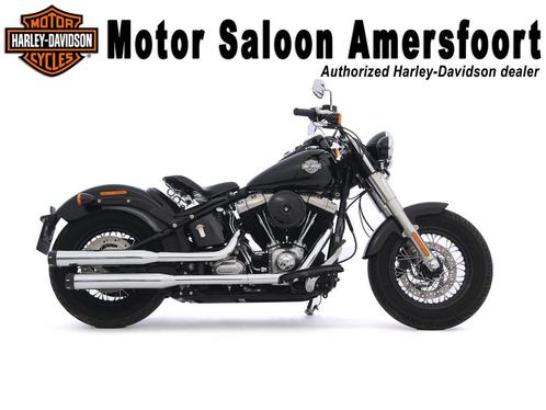 Harley-Davidson FLS SOFTAIL SLIM (bj 2015)