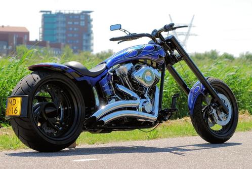 Harley Davidson  FLSTF Bozzies