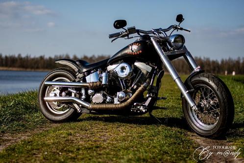 Harley Davidson flts heritage custom