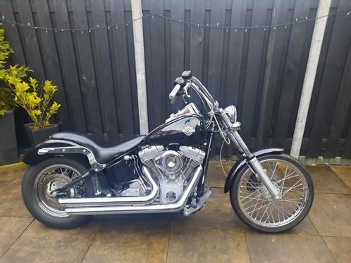 Harley Davidson FXST Softail Standard.