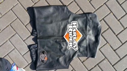 Harley davidson gillet 