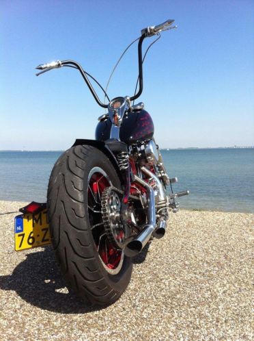 Harley Davidson Hardtail iron-head