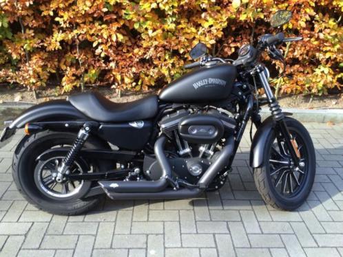Harley Davidson Iron 883 XL