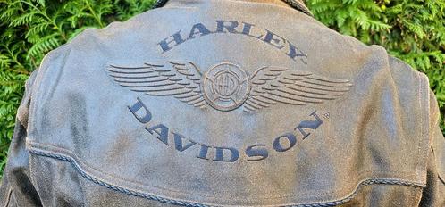 Harley Davidson leren jas XL