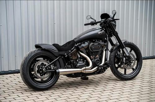 Harley davidson low rider s custom