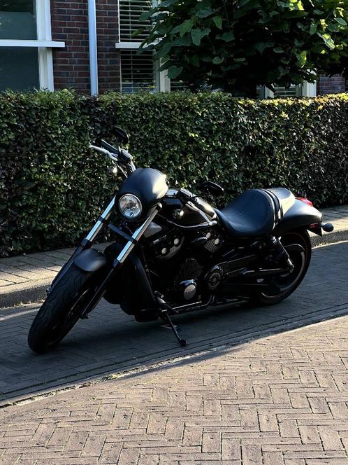 Harley-Davidson NIGHT-ROD SPECIAL  NIGHTROD VRSCDX