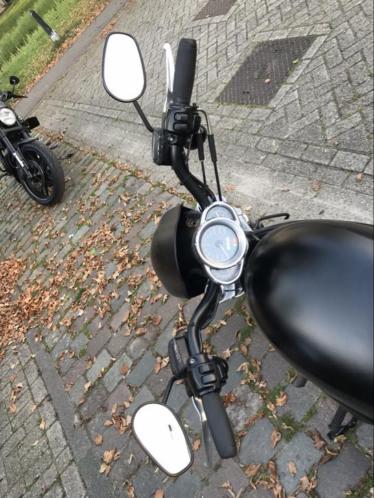 Harley Davidson Night Rod VRSCD te koop 