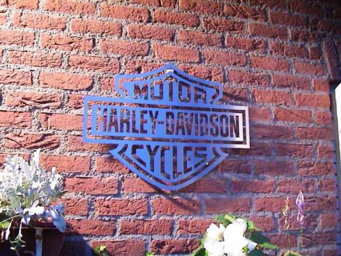 Harley Davidson RVS logo